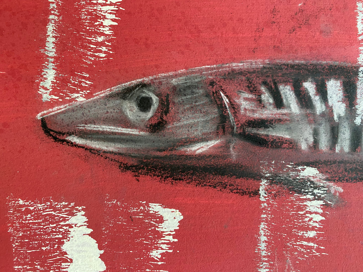 "Barracuda"