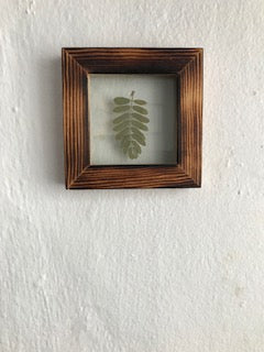 Plant art wall